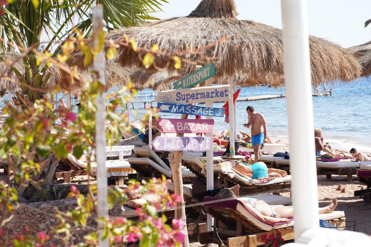 Sunshine Divers Club - Il Porto Sharm el-Sheikh Ngoại thất bức ảnh